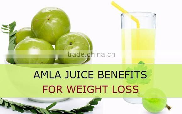 Nature Purest Amla powder Bulk Producers