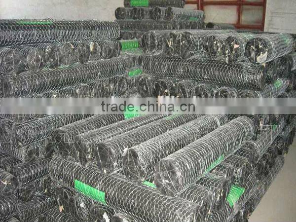 hexagonal wire mesh/ chicken wire mesh best selling