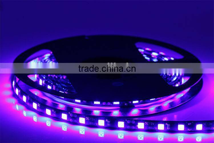 12v Led Lights Blue Color SMD5050