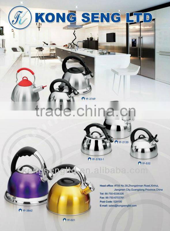 Stainless Steel Gooseneck coffee kettle