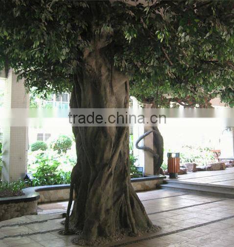 decorative big trees banyan tree