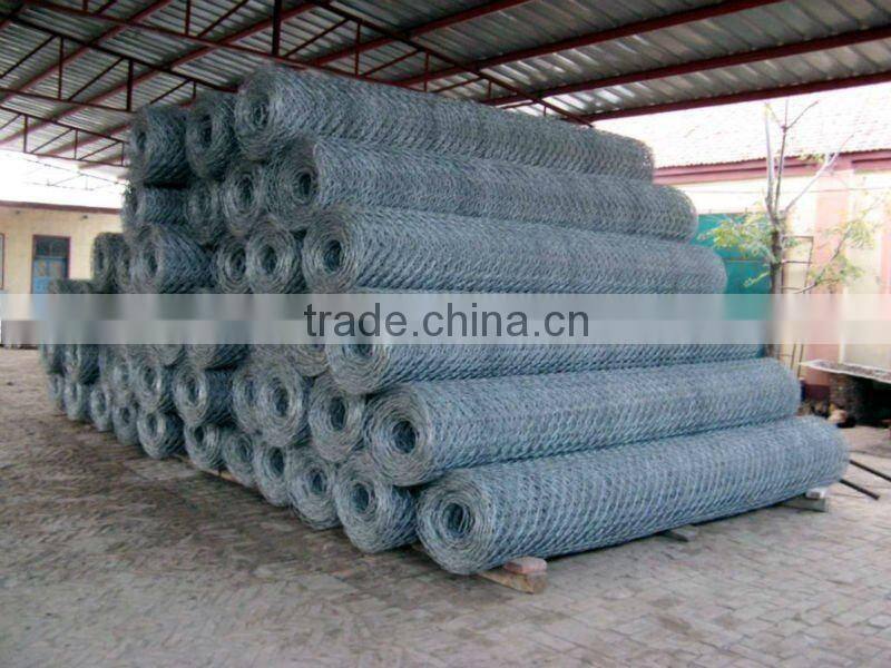 hexagonal netting, twisted mesh supplier (electro galvanized/ hot dipped galvanized/pvc)