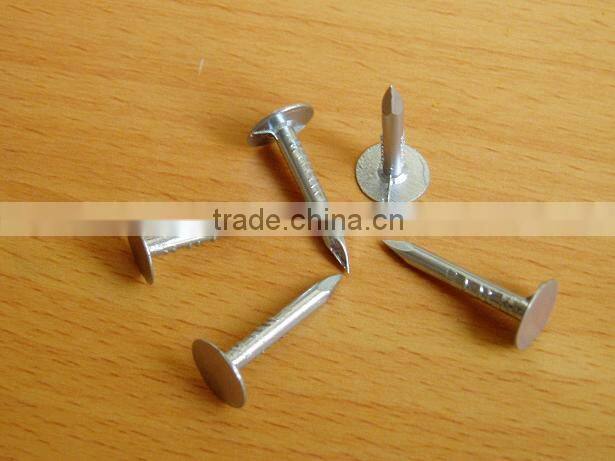 Polished Iron Nails ,Steel Common Nails For Furniture Anping Nail Price