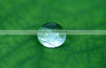 Clear Super Hydrophobic Water Proof Self Cleaning Paint (CS-101)