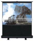 portable floor up screen