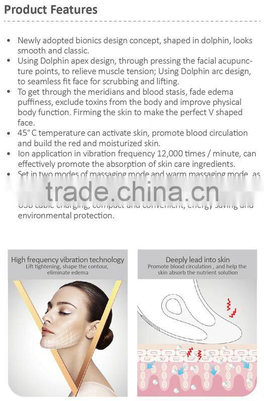 High Quality Best Facial Beauty Care Device Mini Handheld Face Lifting Galvanic Massager Sonic Skin Scrubber