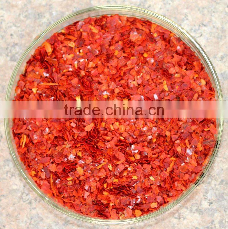 red chilli 2012 new crop