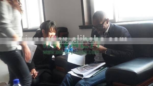 Galvanized/PVC Coated Welded Wire Mesh Anping County China 24 years Manufacturer