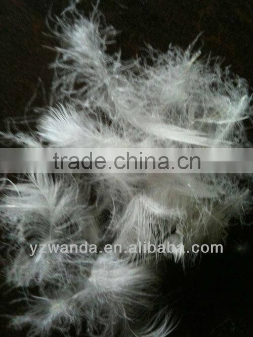 hot selling 80%White Duck Down and Feather