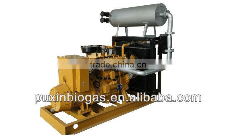 Professional and excellent 10kw biogas electric generator