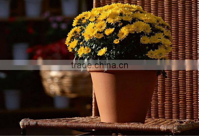 Fruity Flower Fulvic acid fertilizer