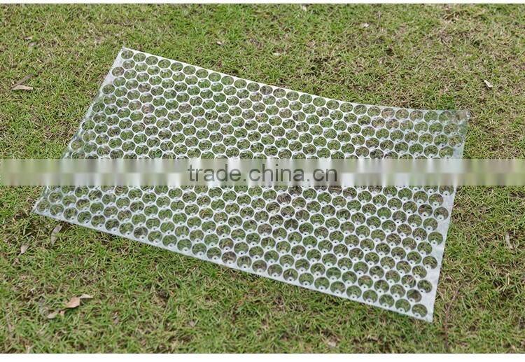 434cells hybrid rice seed sprouts, hydroponic propagator, 70g
