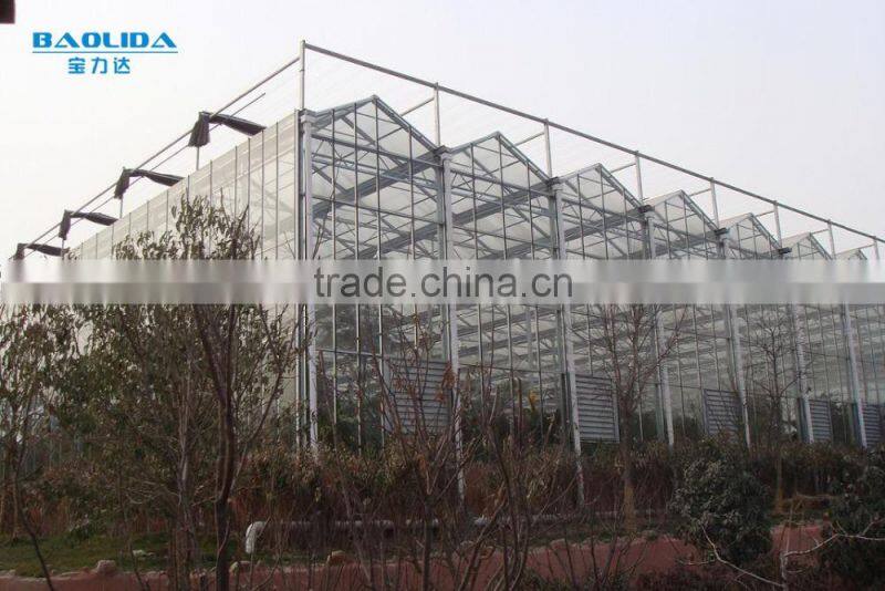 BaoLiDa single span hollow glass hot-dip galvanized steel cucumber greenhouse