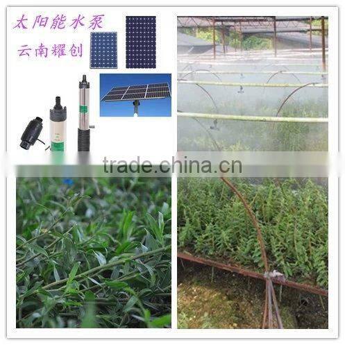 90W mono silicon solar panel With ISO ,TUV,CE