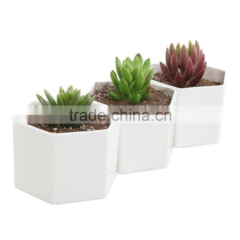 Hexagon White Ceramic Plant Pots Succulent Planters