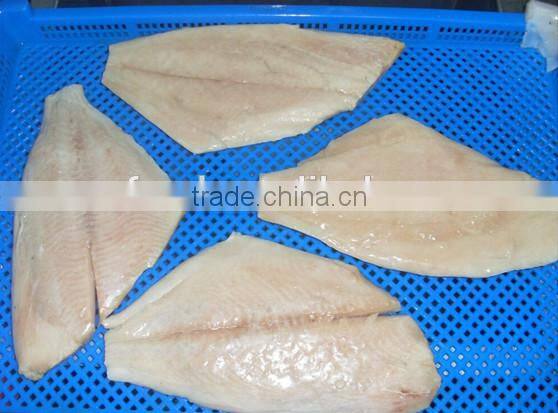 Frozen Brama Fillet,Skinless &PBO & 20%Glazing