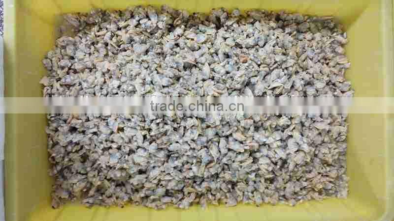 Frozen Cooked short necked clam meat produced in China
