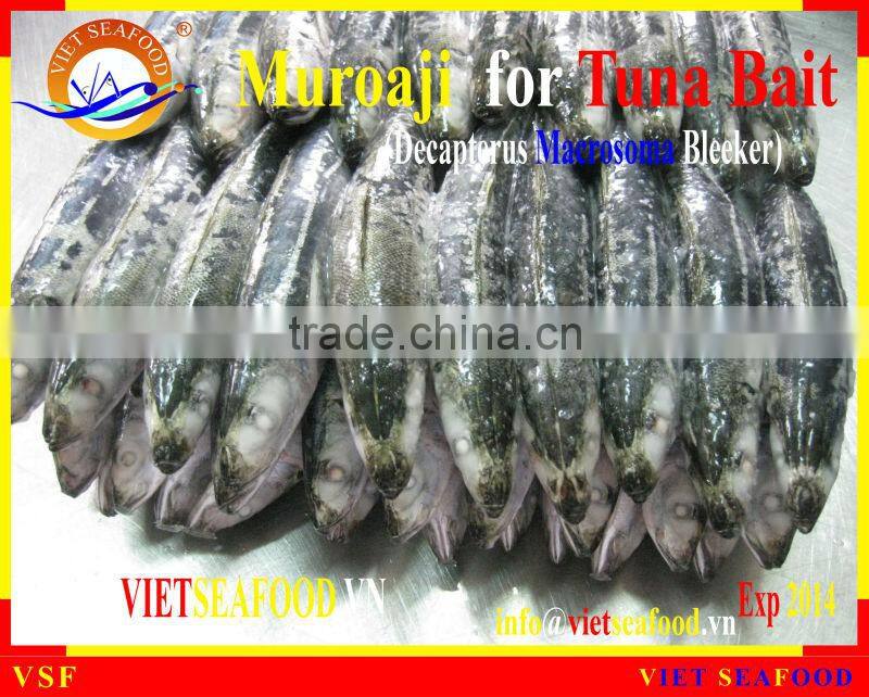 MUROAJI FOR TUNA BAIT
