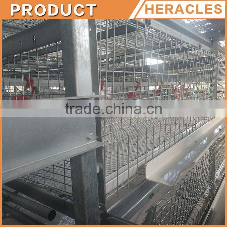 Shandong trade assurance poultry farming equipment automatic chicken layer cage for sale in philippines