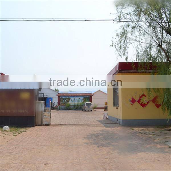 galvanized earth anchor/earth auger anchor