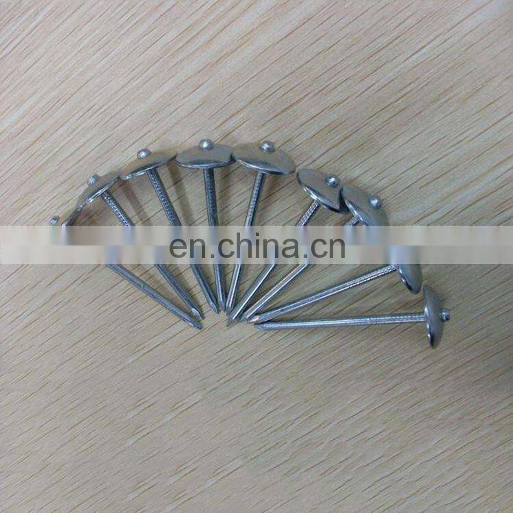Cheap umbrella head 14-20mm roofing nails galvanized