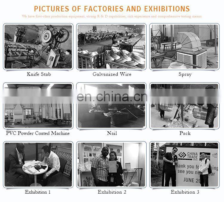 Wholesale outdoor stadium fence basketball court fence Chain link fence price