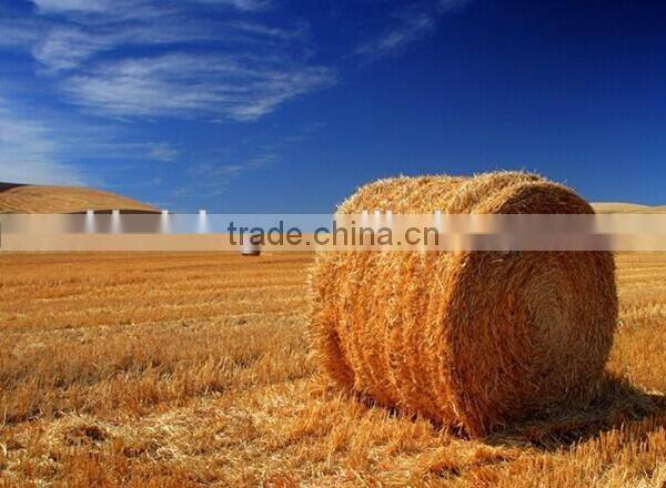 White,dark green,blue color silage bale wrap net