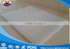 PP Honeycomb Panels