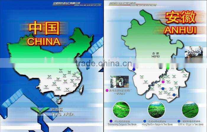 Green tea Matcha Style Lucky Bird tea new BIO Japan