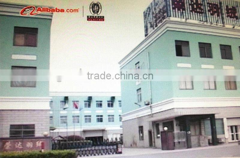 Hotel Down filled Mattress Pad