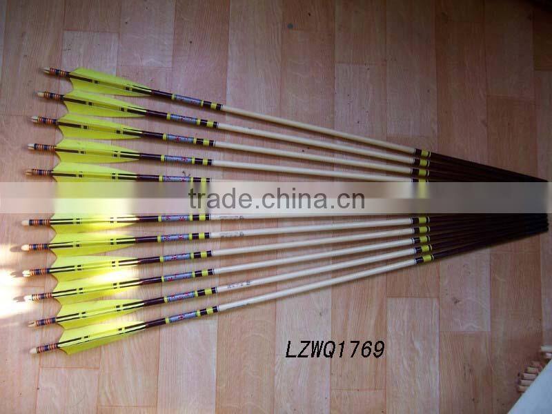 Feather Arrows LZWQ1764