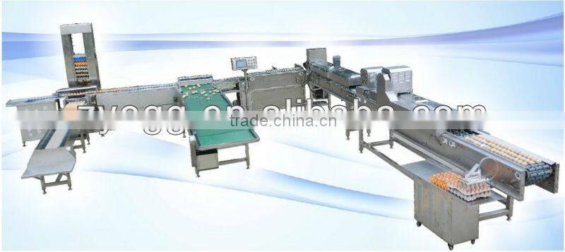 egg processing equipment/egg cleaning coding sterilzing grading packing equipment