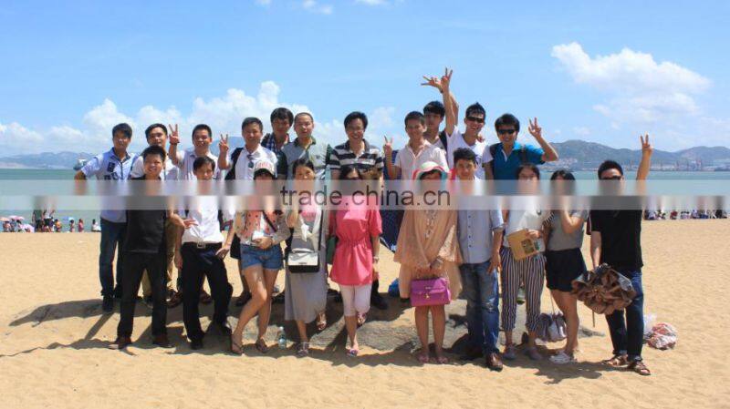 Original Factory Supply Stereo Microscope with Digital Camera For sale