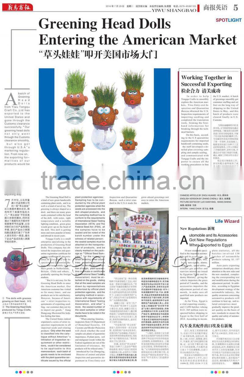 indoor plant growing kit diy mini planter set diy flower garden