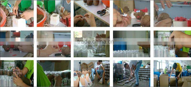 Naughty Growing Grass Head Doll Wholesaler