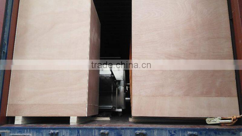 Automatic Fresh Onion Ring Processing Line; Machines for Fresh Onion Ring