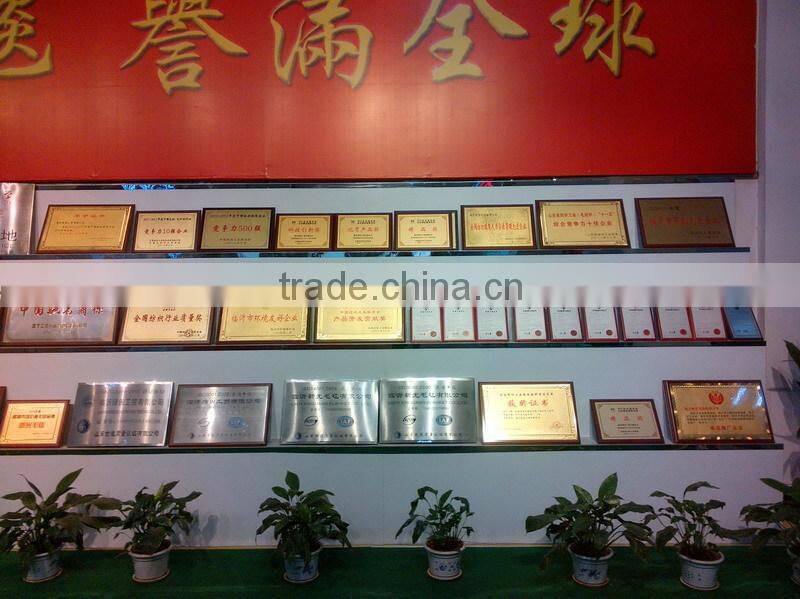 Cheap Double Thick Heavy Plush Raschael Mink Blankets