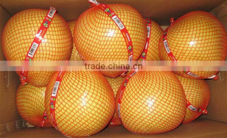 Professional export local honey pomelo from guan-xi pomelo