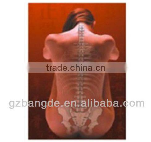 BD-M007 Professional chiropractic spinal adjustment machine