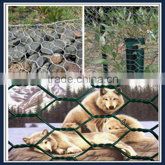 China cheap Stainless Steel Hexagonal Wire Netting/ fence netting/ woven mesh/ animal catching nets