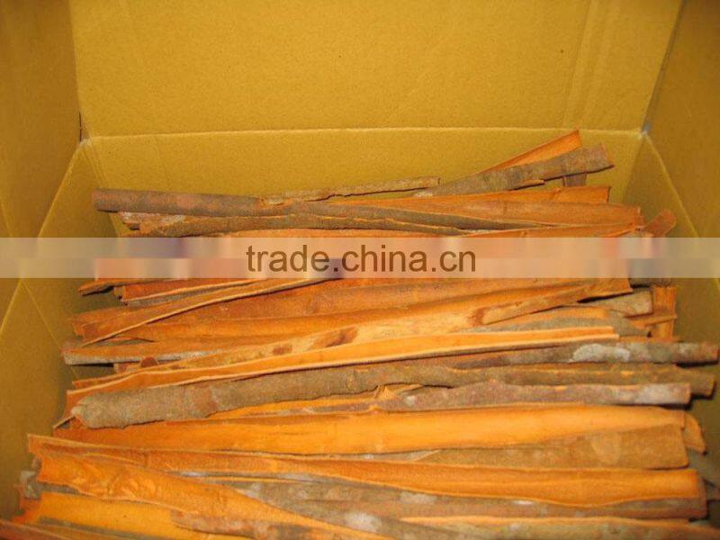 SUPPLY CLOVES SPICES (Call: +84 1687264621)