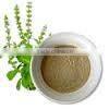 STAVIA POWDER INDIAN TULSI POWDER