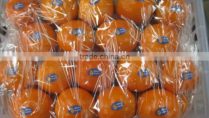 2012 best price navel orange