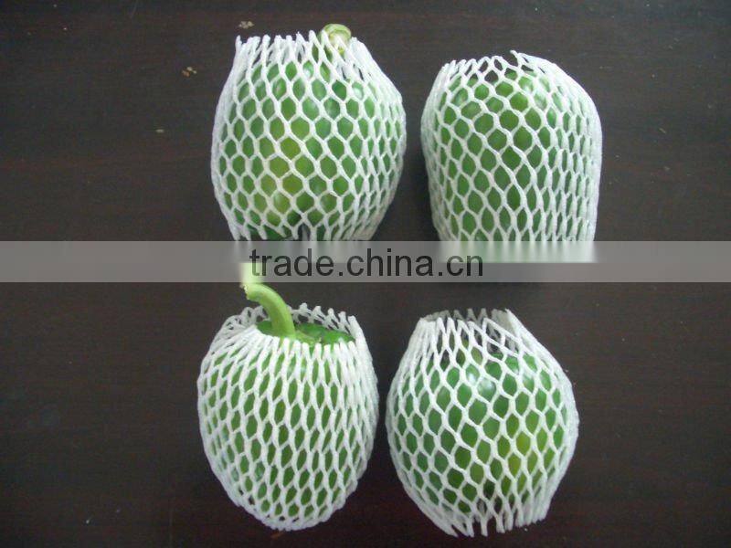 2013 NEW CROP FRESH BELL PEPPER