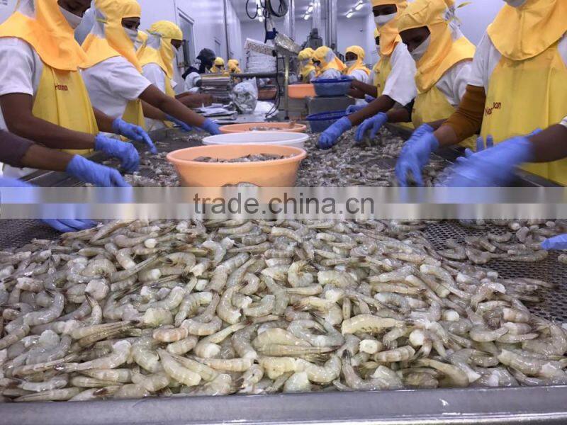 Frozen vannamei shrimp price