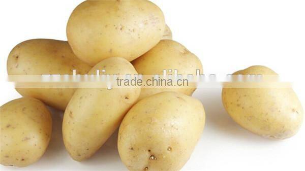 continuous screw taro washing peeling machine 0086-15037185761