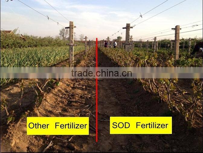 Compound NPK Fertilizer With SOD For Fruit Trees And Vegetables