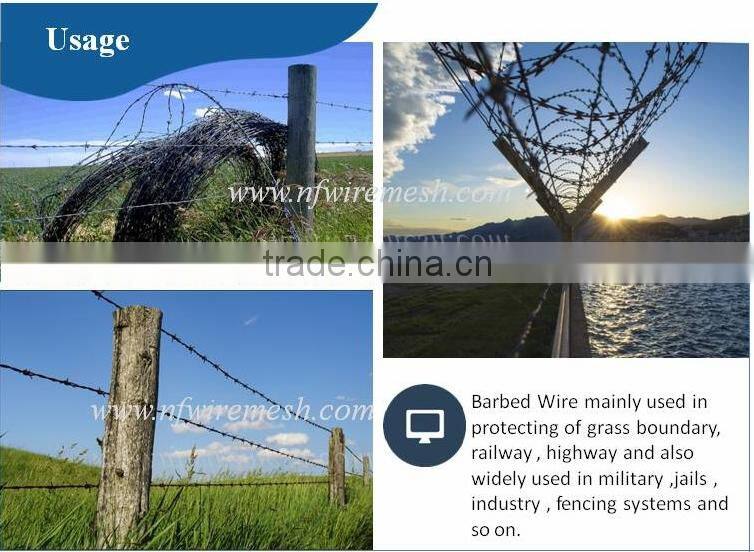 High Quality Used In Singapore Hot Dipped Galvanized Barbed Wire/PVC Coated Barbed Wire(Guangzhou Factory)