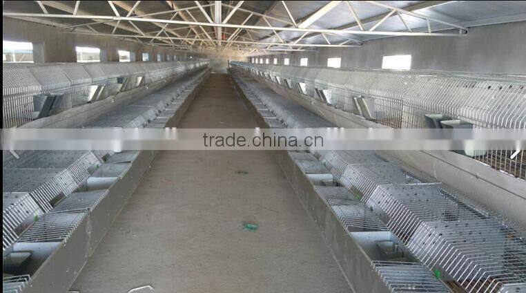 New design high quality rabbit cages for sale ISO certificate rabbit cage/vertical cage