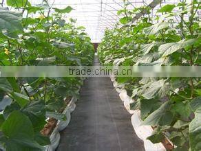 Black Weed Barrier Fabric/Anti Grass Cloth